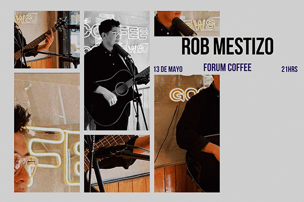 ROB MESTIZO